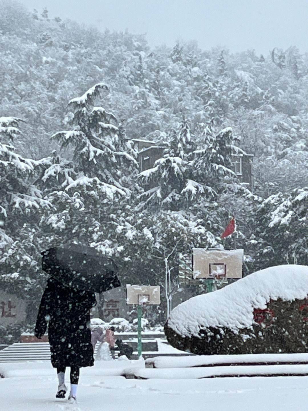 今年冬天冷不冷？雨雪多不多？看寒露的天气就知道了，怎么看？-第5张图片-太平洋在线下载