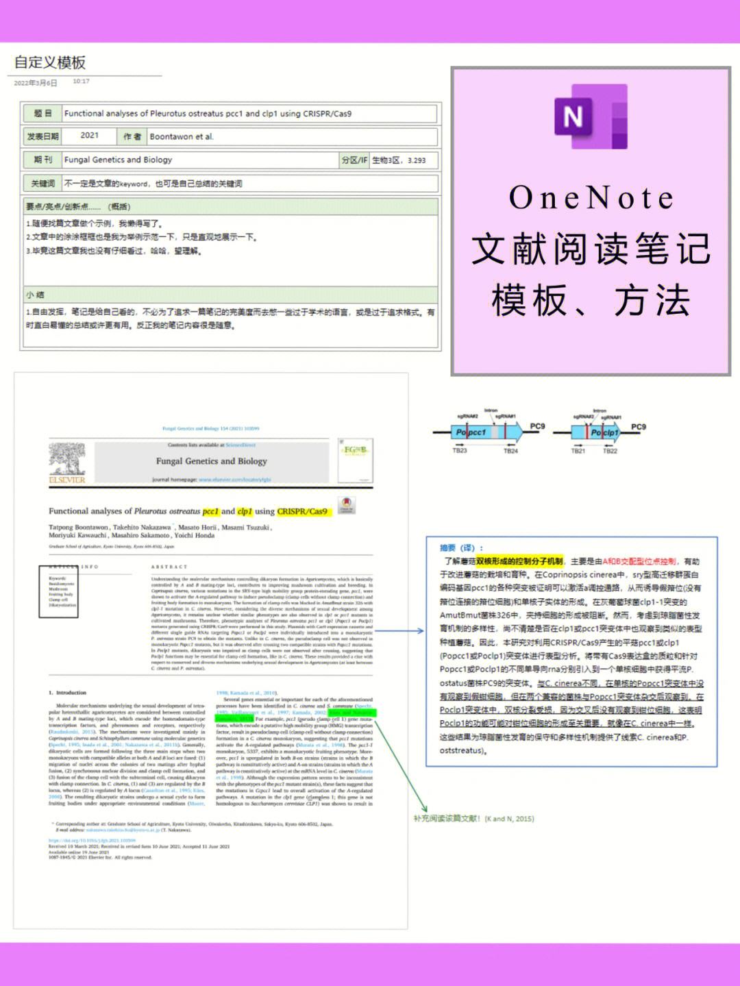 onenote安卓版右对齐onenote2016安卓版-第1张图片-太平洋在线下载