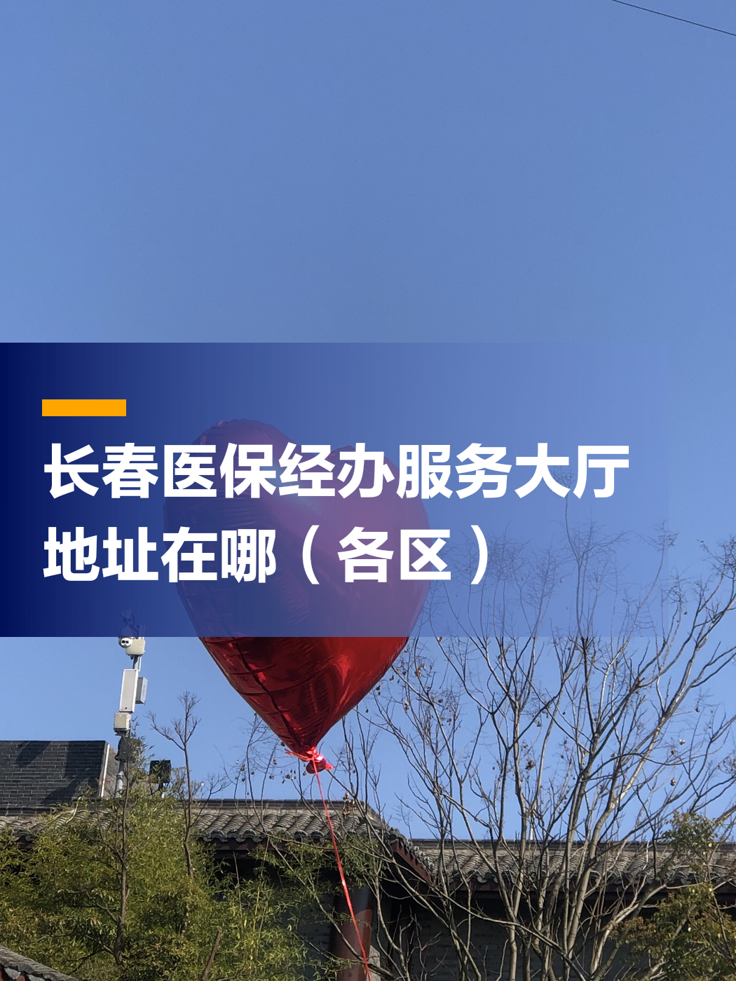 长春医保安卓版下载长春医专2024年录取线-第2张图片-太平洋在线下载