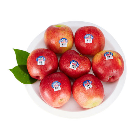 公共版苹果(ios公共账号怎么使用)-第5张图片-QuickQ官网