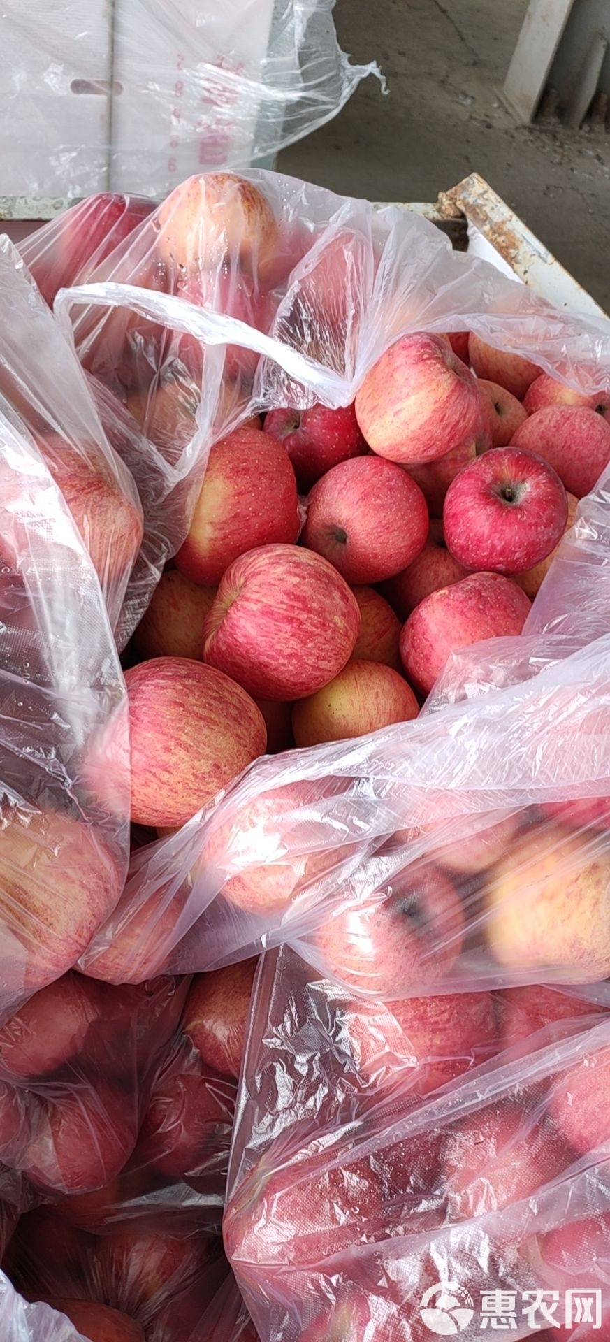 华盖版苹果的简单介绍