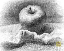 素版苹果(素描版的苹果)-第1张图片-QuickQ官网 素版苹果(素描版的苹果)-第1张图片-QuickQ官网