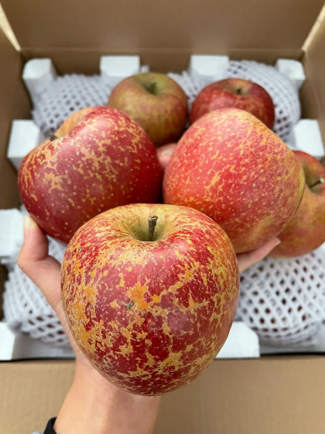 苹果贫困版(买苹果手机不能评贫困生)-第4张图片-QuickQ官网