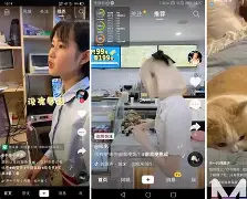 抖音安卓版能赚钱吗吗(抖音安卓版能赚钱吗吗是真的吗)-第4张图片-QuickQ官网 抖音安卓版能赚钱吗吗(抖音安卓版能赚钱吗吗是真的吗)-第4张图片-QuickQ官网