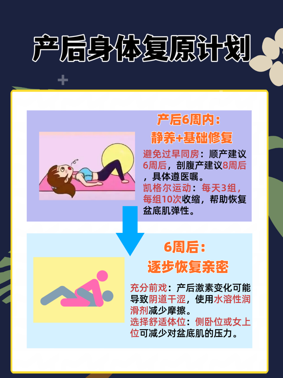 愈合的伴侣手机版(愈合的伴侣豆瓣)-第3张图片-QuickQ官网